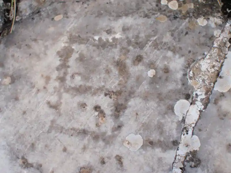 Cross inside a square engraved on a stone